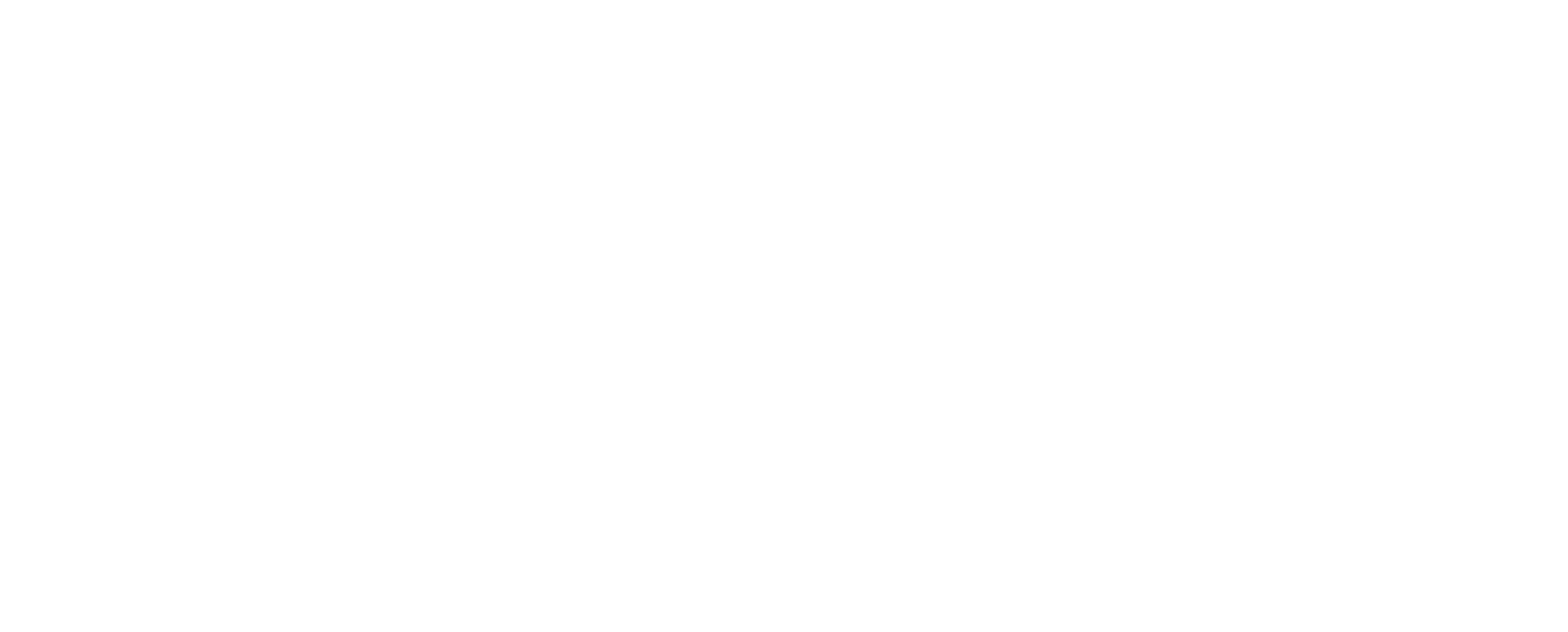 Life Value Promotion リバ